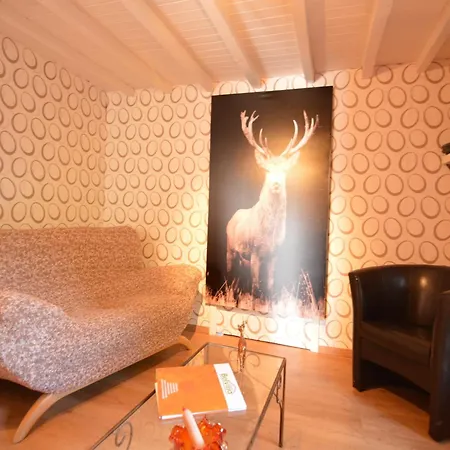 In Ardennes With Heated Pool, Cleaning Included * La Roche-en-Ardenne