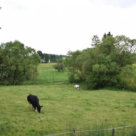 In Ardennes With Heated Pool, Cleaning Included La Roche-en-Ardenne